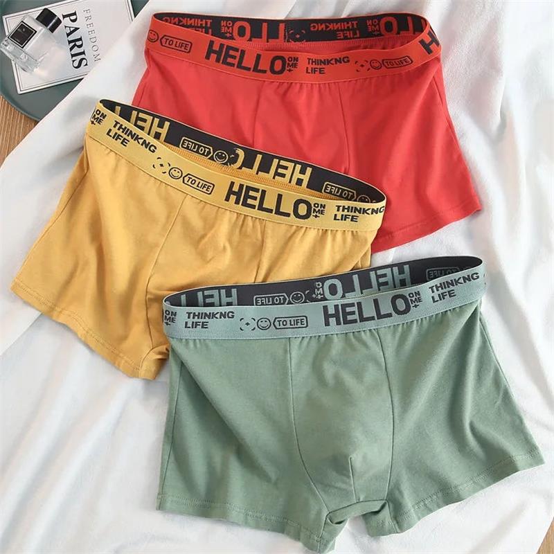 10Pieces/ Men's Underwear Men  - Boxer Brief Pack Cotton review and price