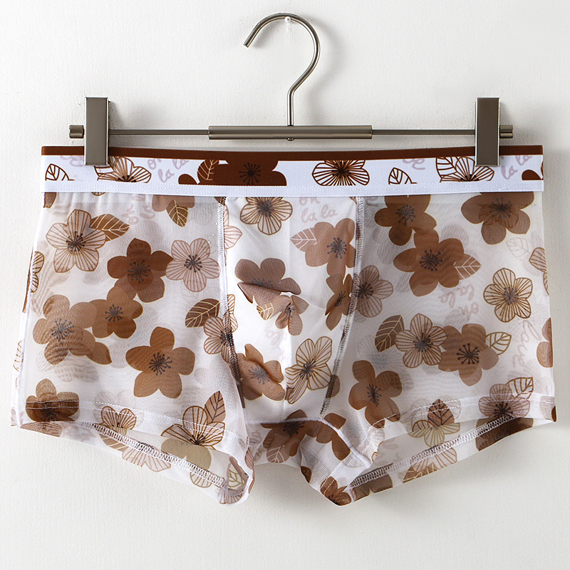 Ultra Thin Transparent Ice Sil - Mesh Sport Boxer review and price